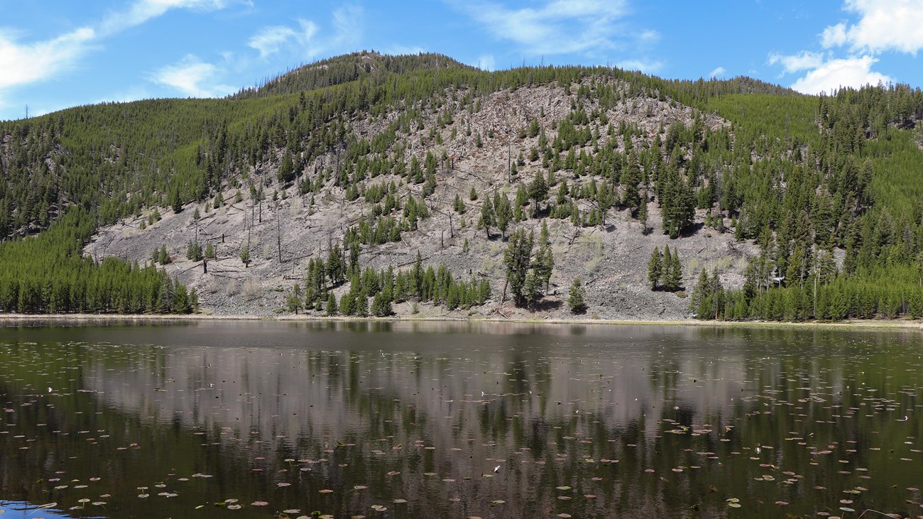 Lily pads dot a lake at the base of a slopping cliff.