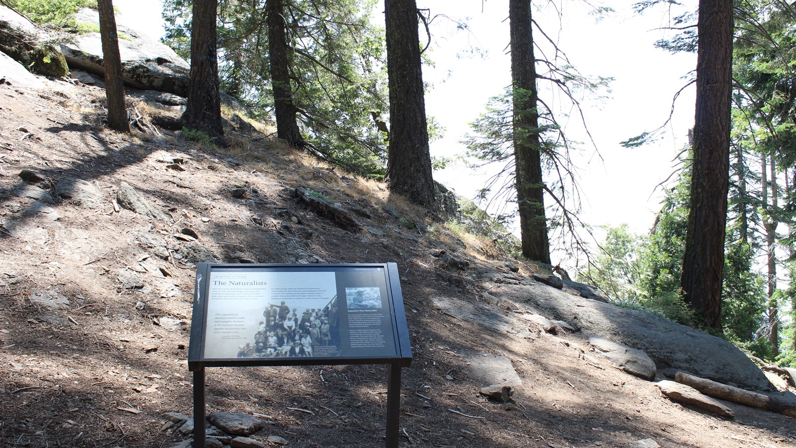 An exhibit titled The Naturalists talks about people who shaped the history of the parks.