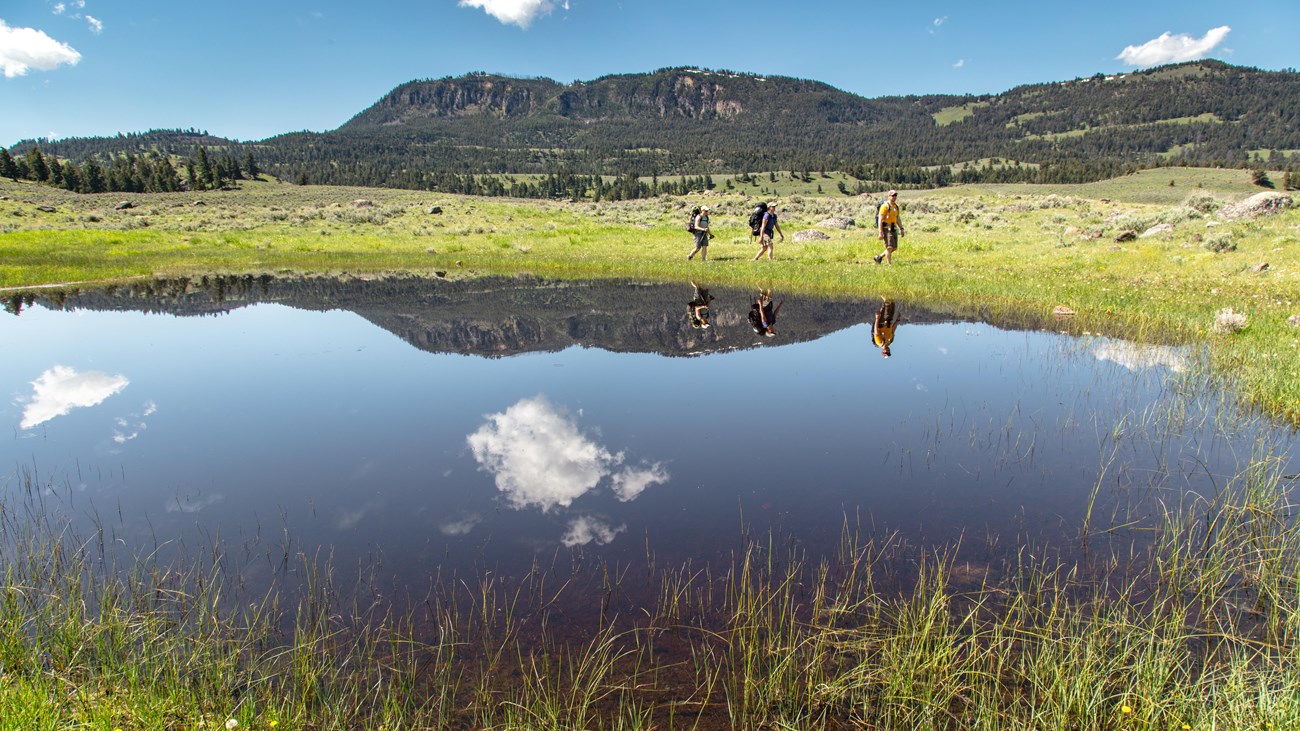 Three people hike past a pond in a meadow with a forested mountain in the distance.