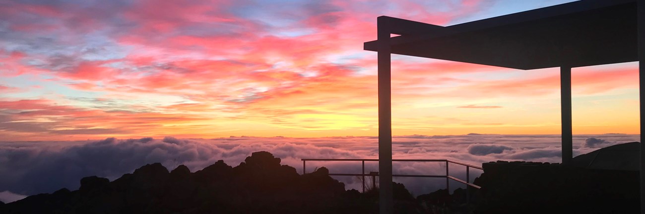 A dawn sky colors clouds yellow and pink, silhouetting an overlook shelter.