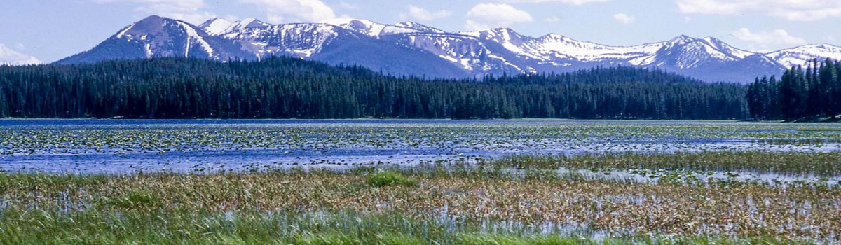 Wetlands and lake water stand before snow-capped mountains.