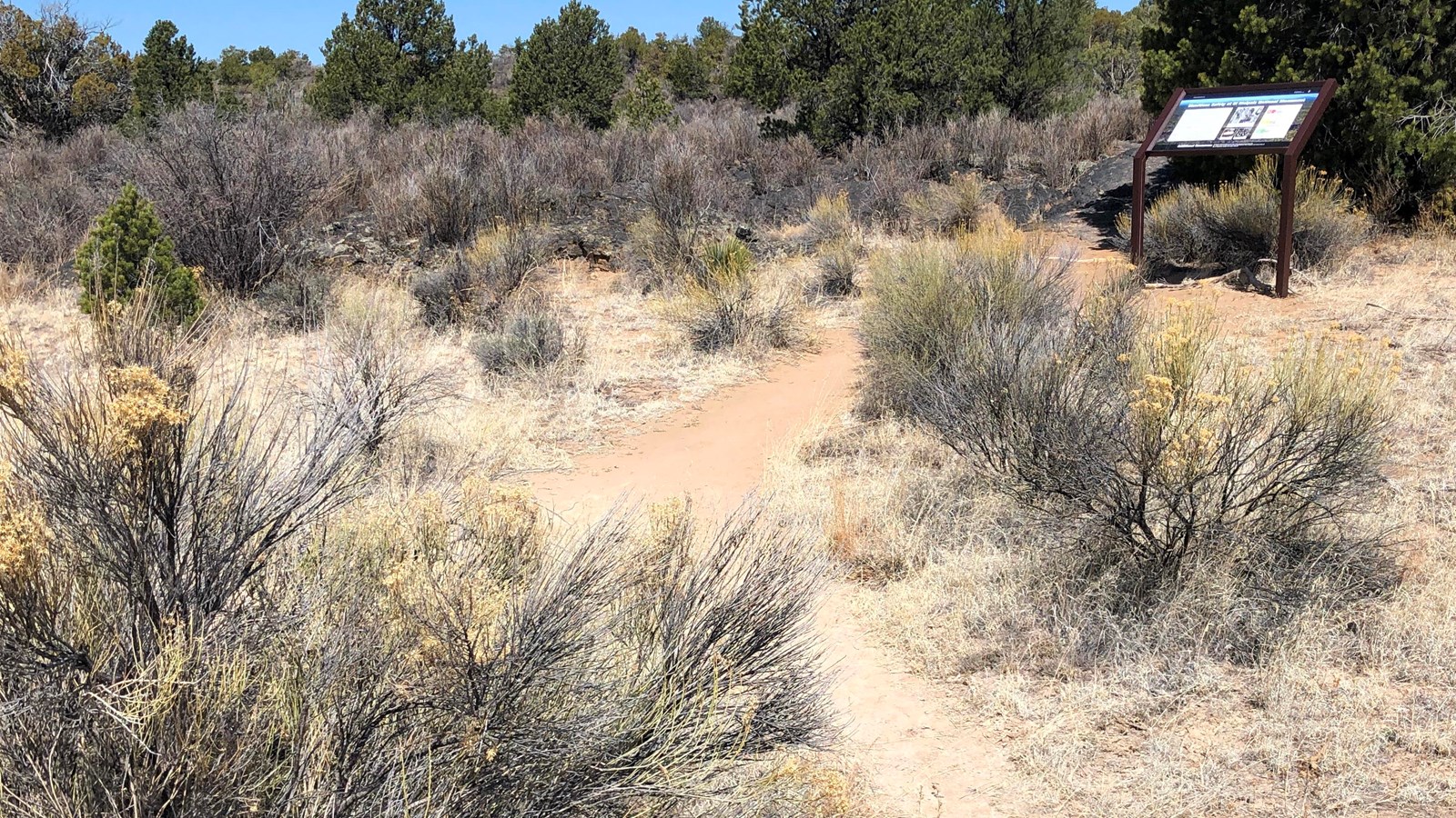A narrow dirt path leads to the edge of a black lava flow behind a large informational sign.