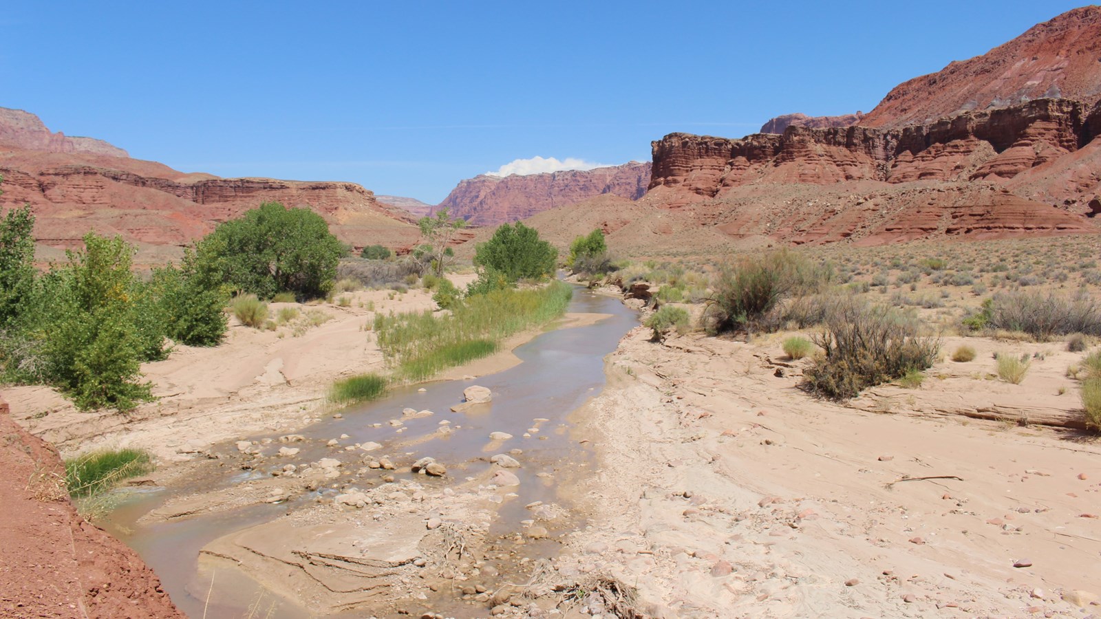 Muddy Paria River flowing though the red canyon desert