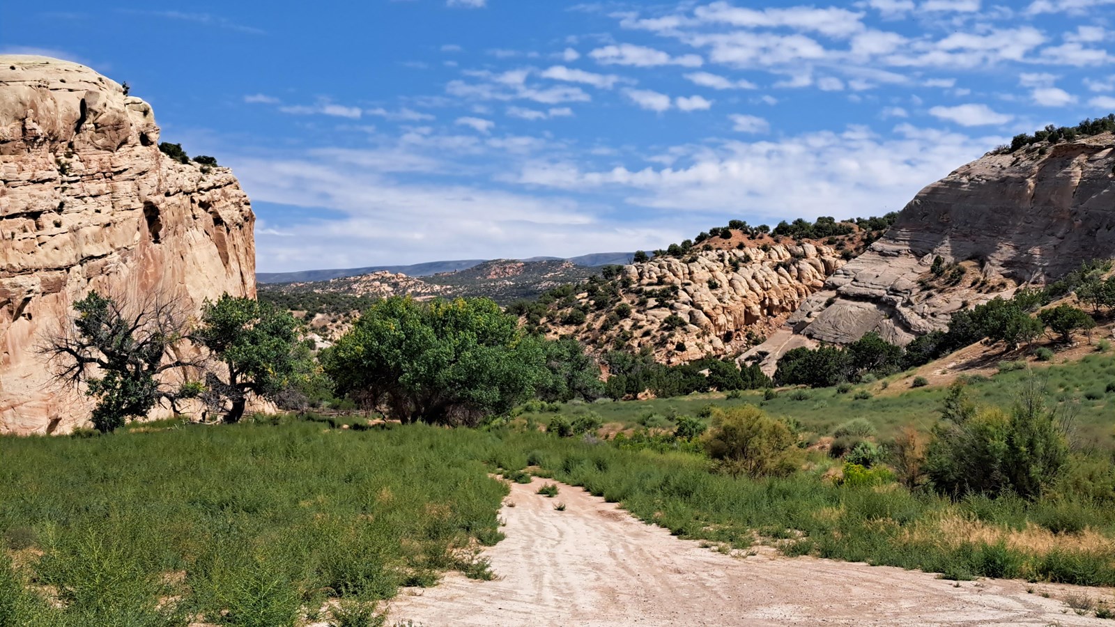 A dirt road turning off from the pavement leading towards a canyon with petroglyphs on the walls.