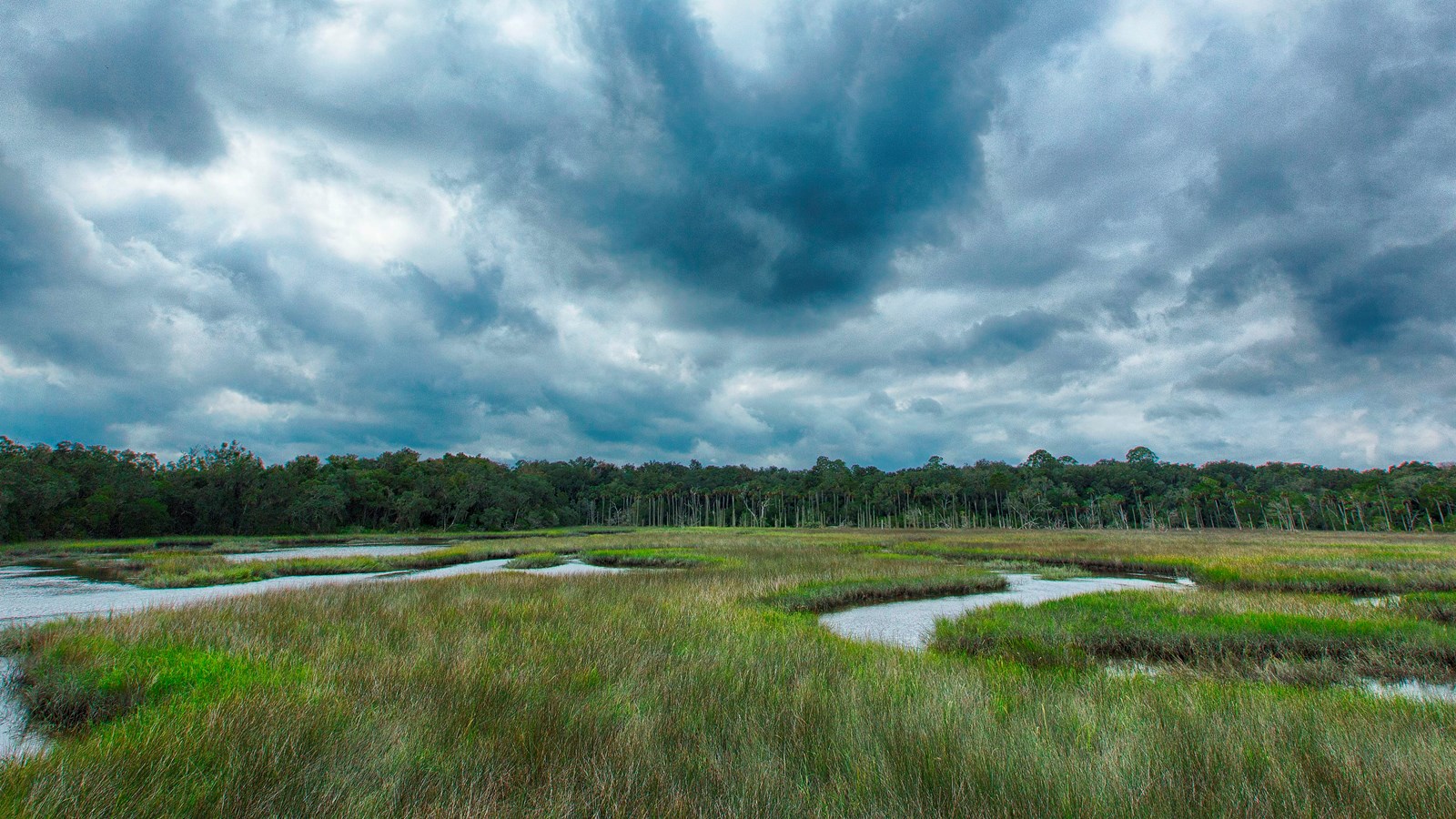a blue sky and saltmarsh