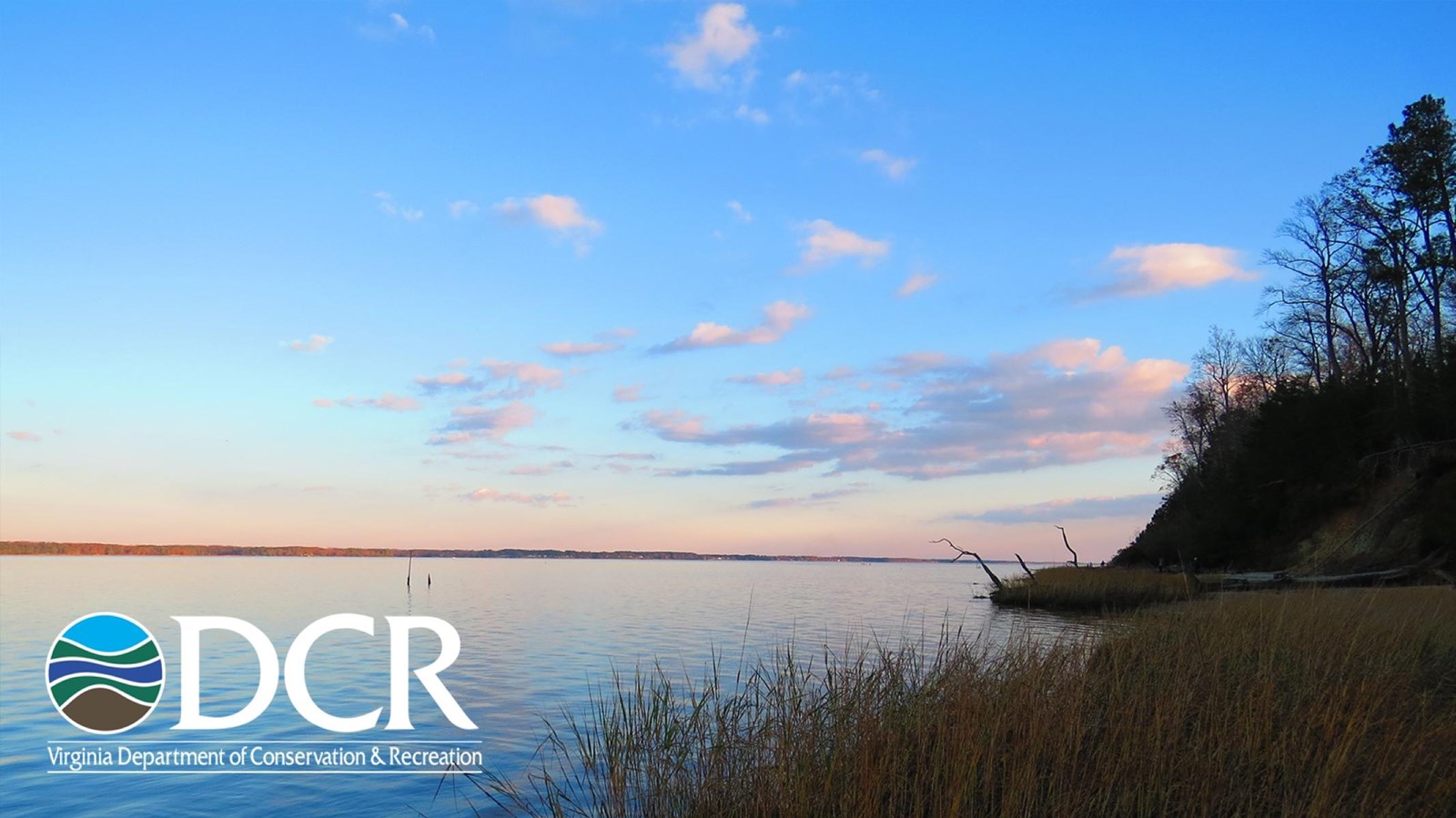 A tranquil lake at twilight reflecting a blue and pastel gradient sky and a wooded area to the right
