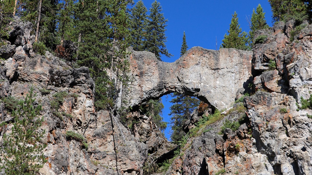 A natural bridge formation made of rock in a forest.