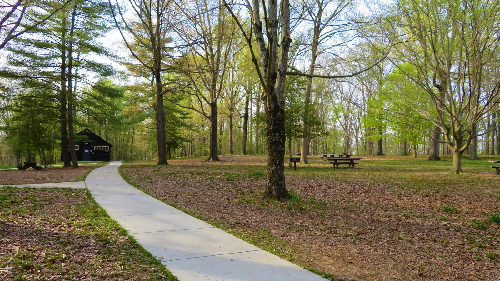 Pine Grove Picnic Area