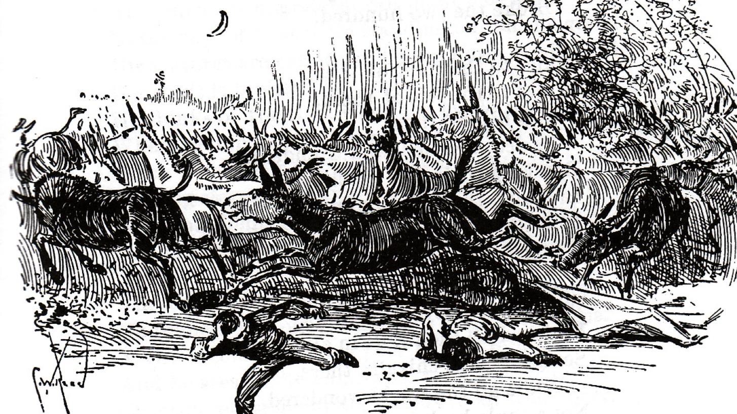 Charge of the Mule Brigade