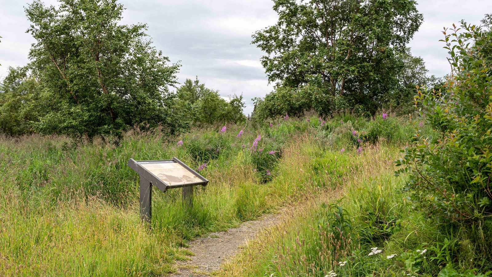 A trail with a wayside on the left