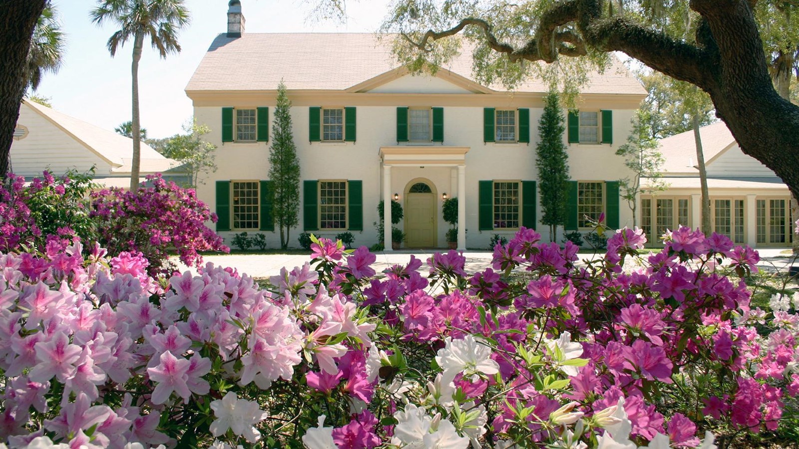 bright pink and white flowers in bloom in front of a two story club painted white with green shutter