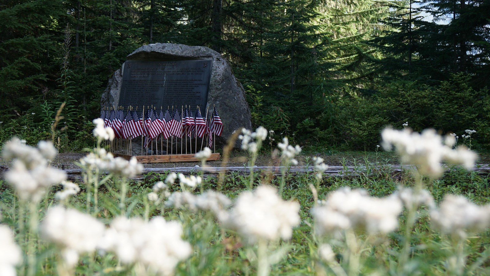 A boulder with a bronze plaque framed by small American flags and wildflowers. 