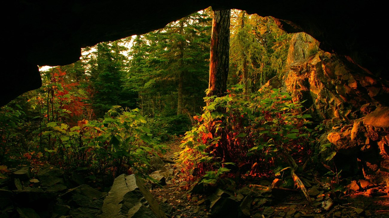 Looking out of Suzy’s Cave sunlight falls on vegetation. 