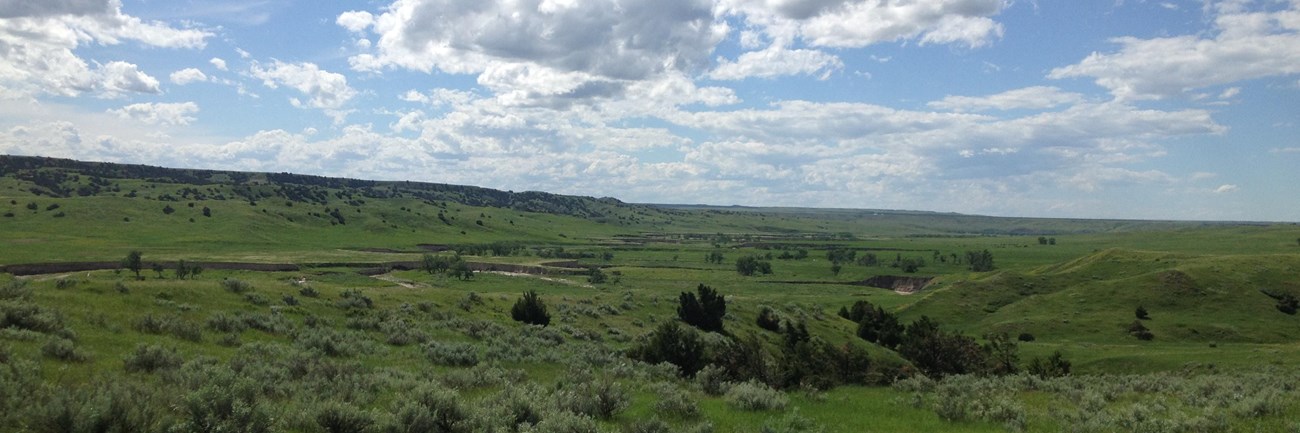 a green rolling prairie melts into a pale blue, cloudy sky.