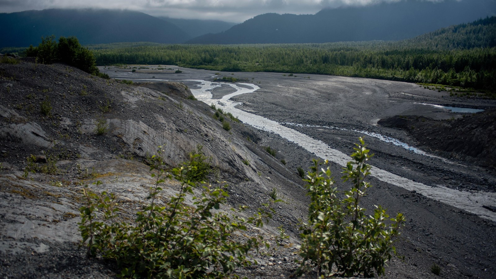 An sandy, rocky area with a river running through the center. Trees are on the sides of the image.