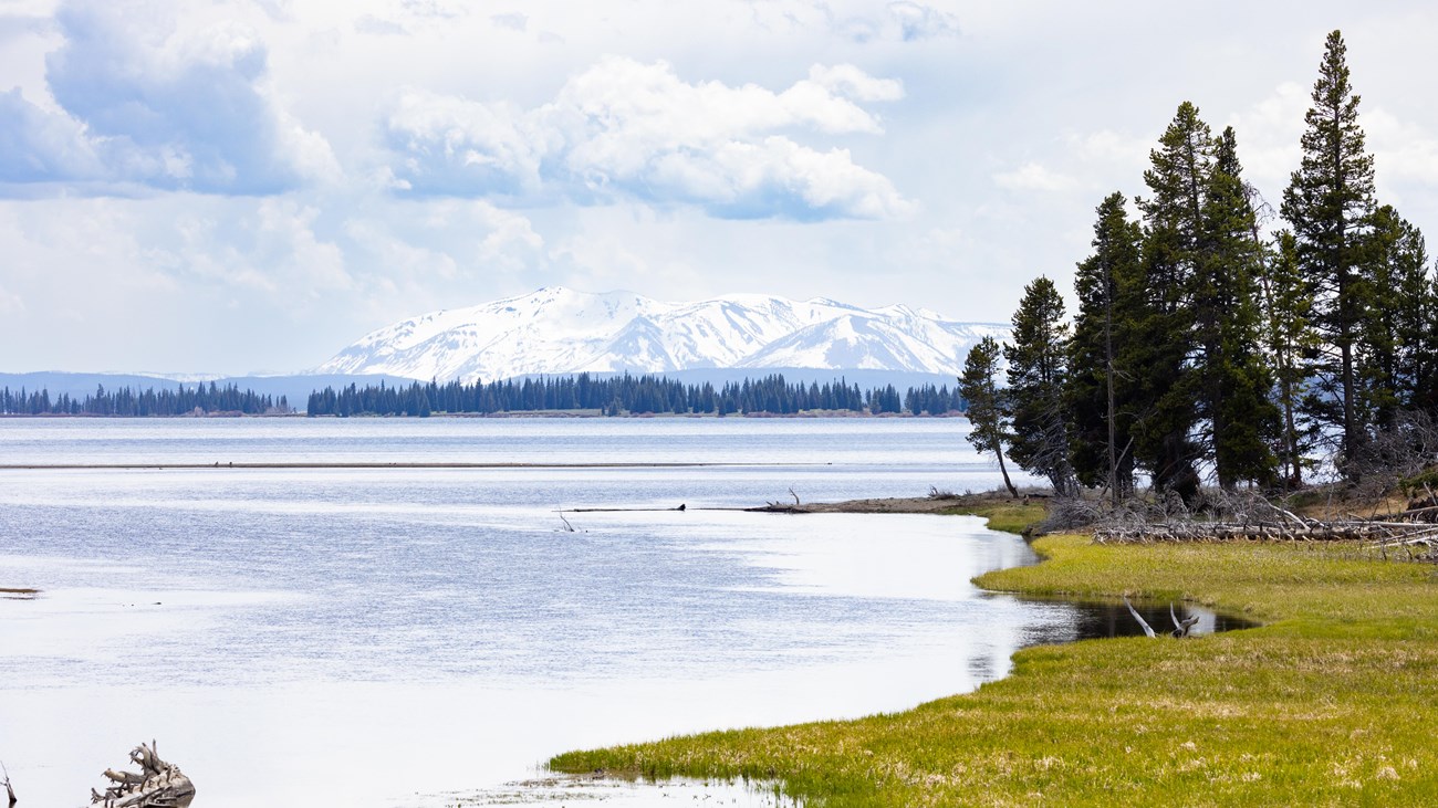 A creek spills into a large lake with mountains in the distance.