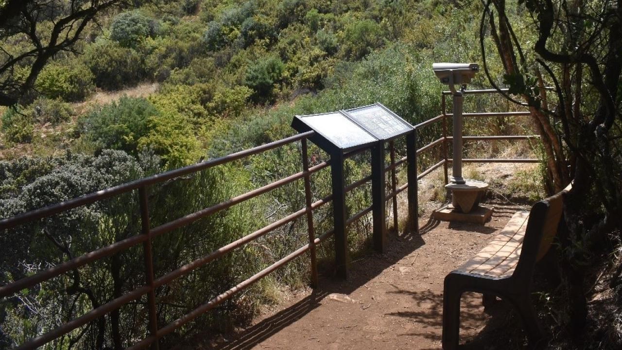 Bench overlooking a native Hawaiian forest with a sign and viewfinders
