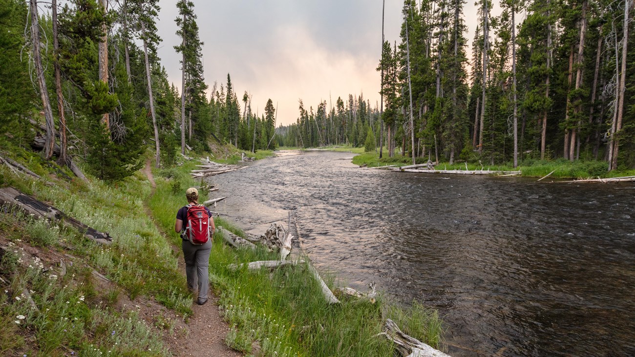 A hiker follows a trail alongside a river through a forest.