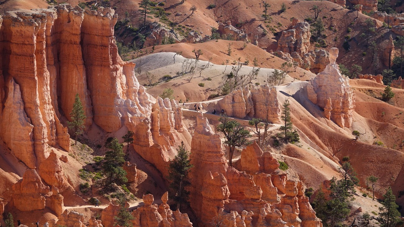 An overhead shot of a landscape with irregular red rock formations