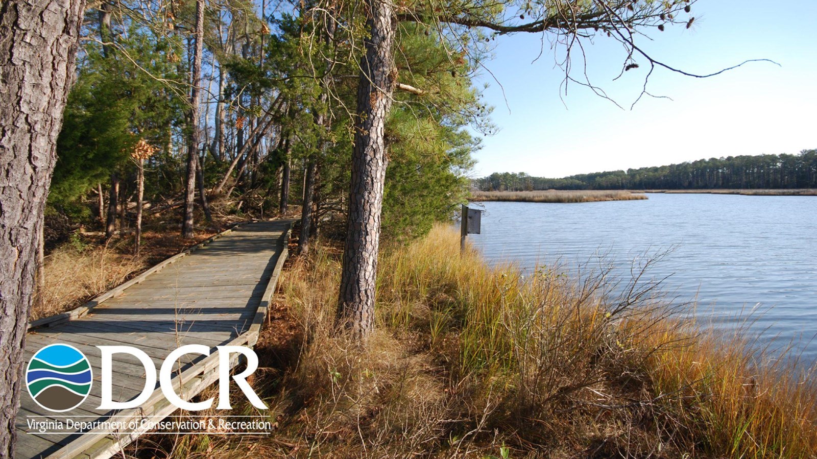 A wooden boardwalk leads through trees to a calm body of water, with tall grasses along the banks 