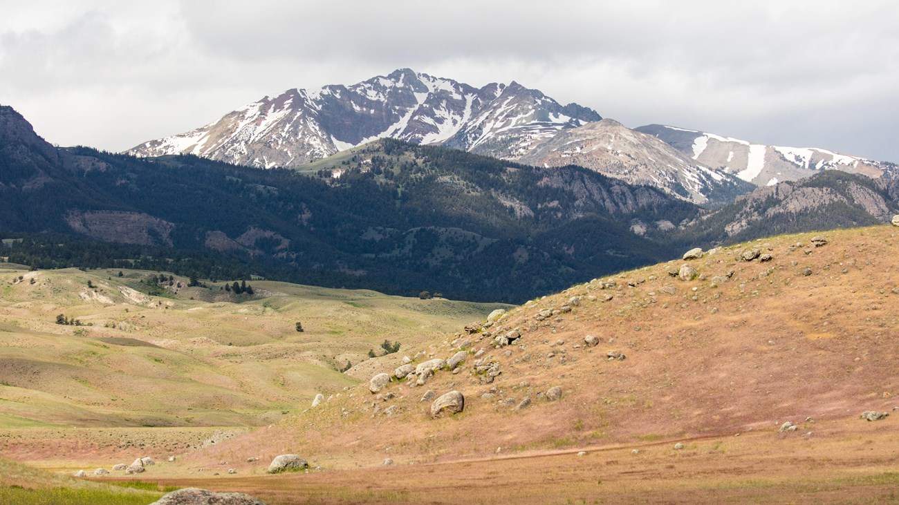 A rocky mountain peak emerges behind rolling, grassy hills.