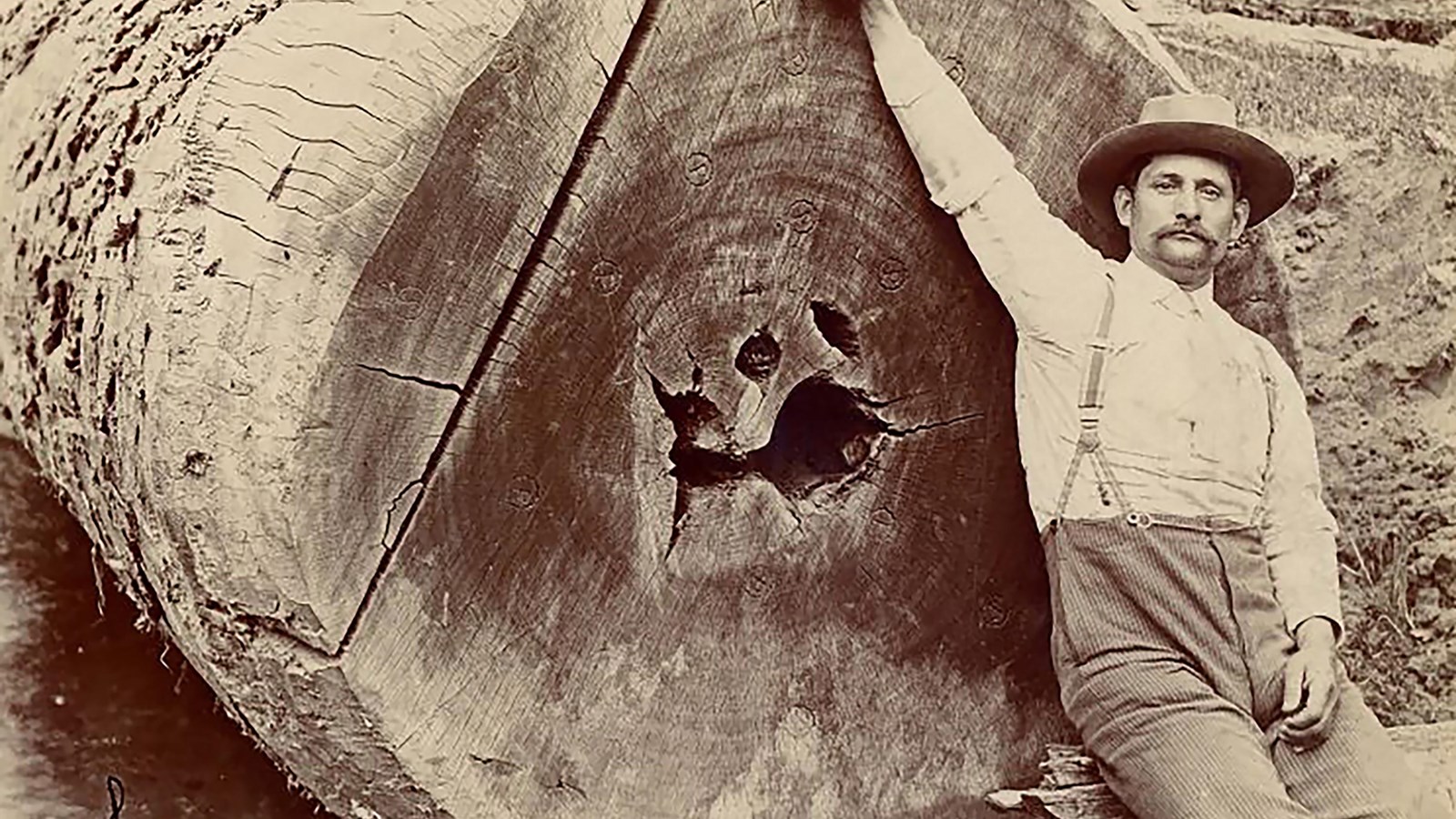 A man dressed in turn of the century clothes leaning against a felled large old tree trunk