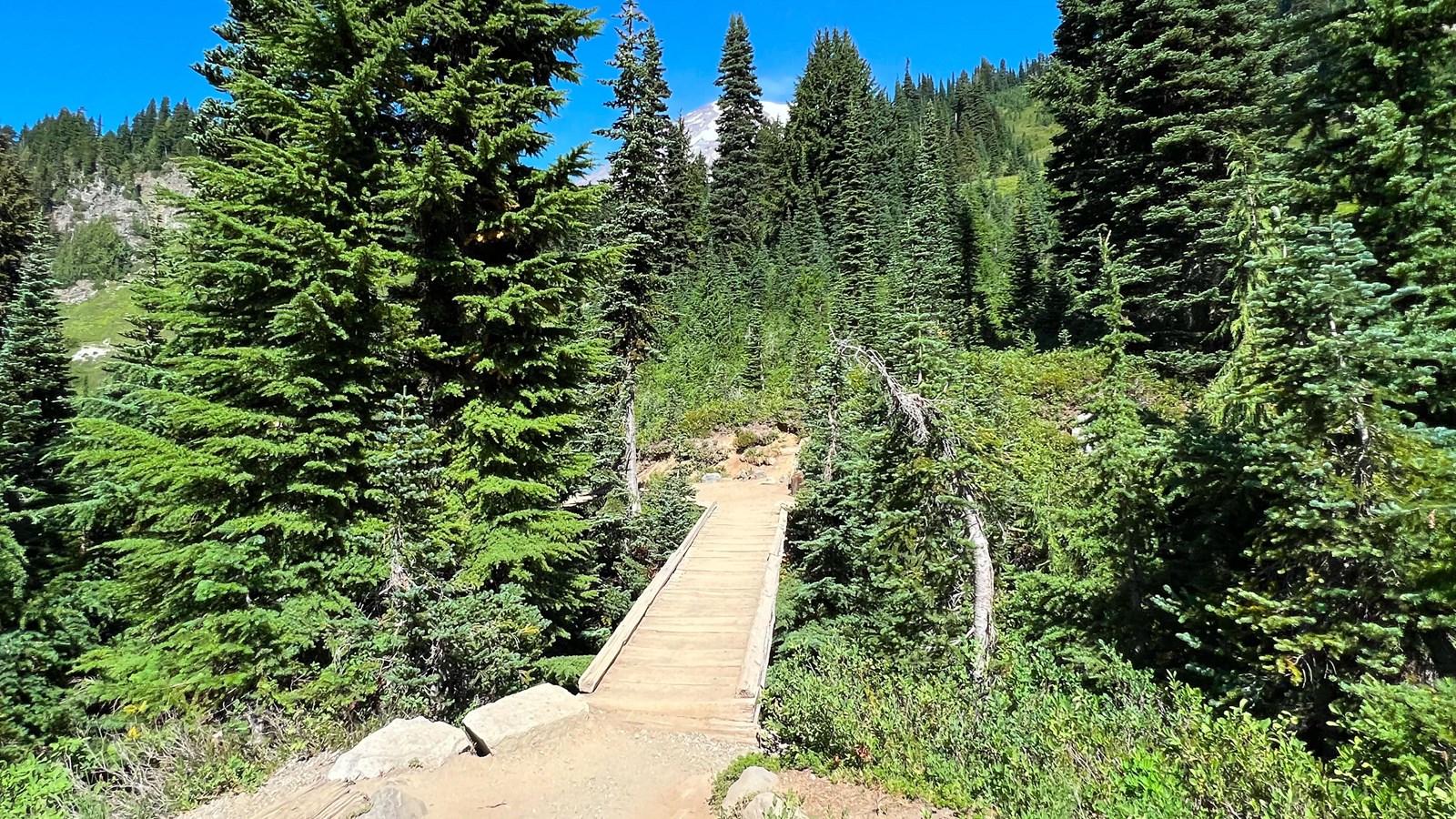 Wooden bridge surrounded by conifer trees with glaciated mountain in background