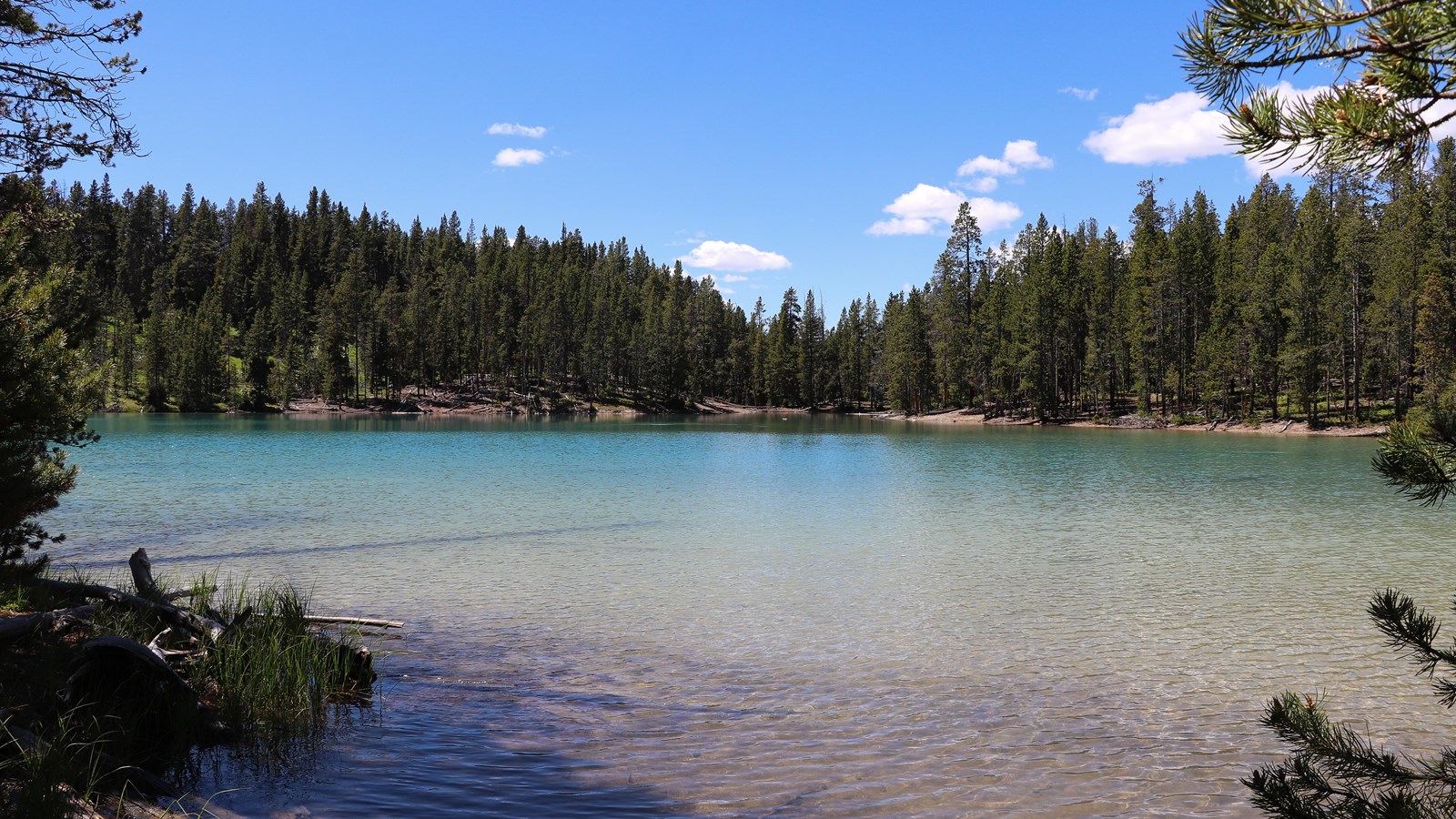 A turquoise blue lake surrounded by a forest.