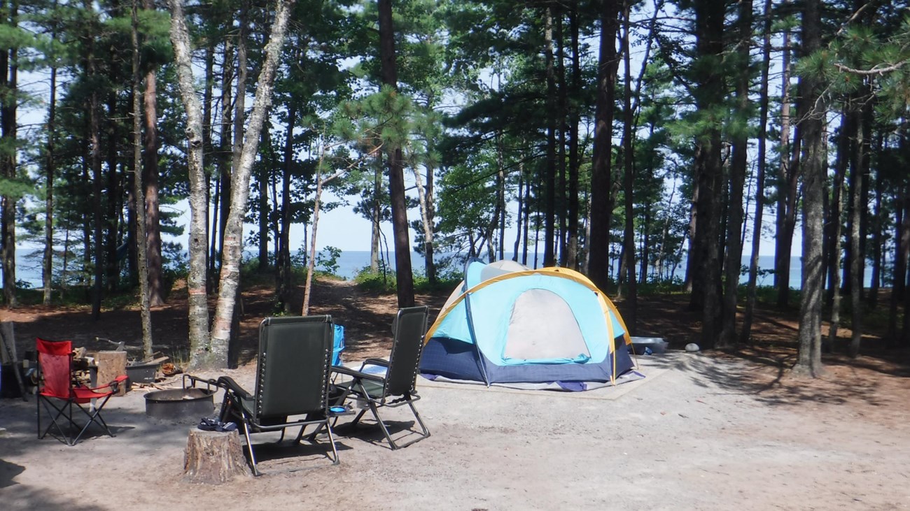 Small tent on tend pad with tall trees overhead