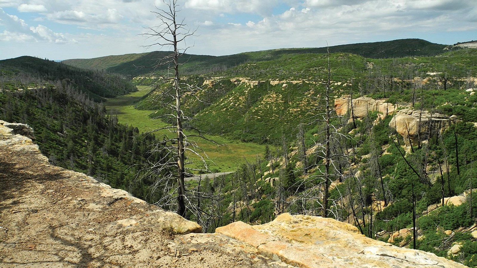Looking down at a broad view of a green canyon below a ridge.