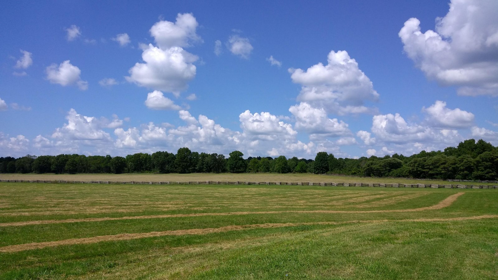 Photo of a grassy field with trees in the far distance, with a blue sky over head with large clouds