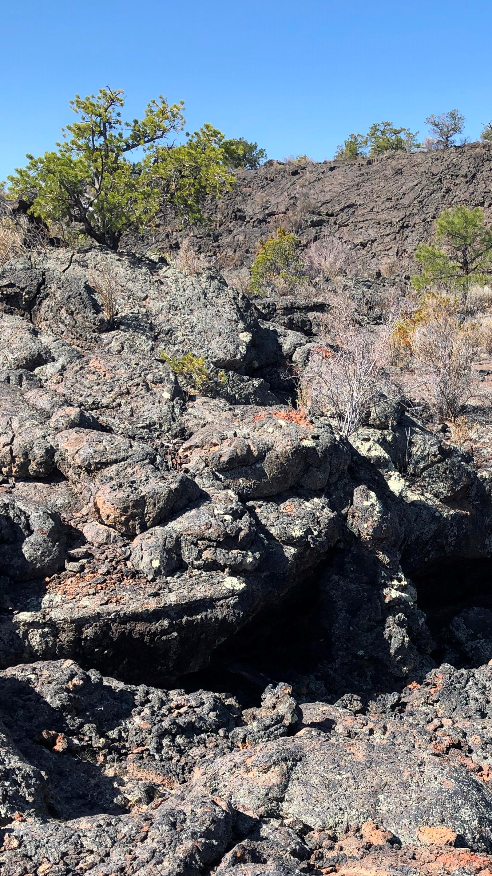 A wooden post with a painted number 4 stands in front of a lava ledge.