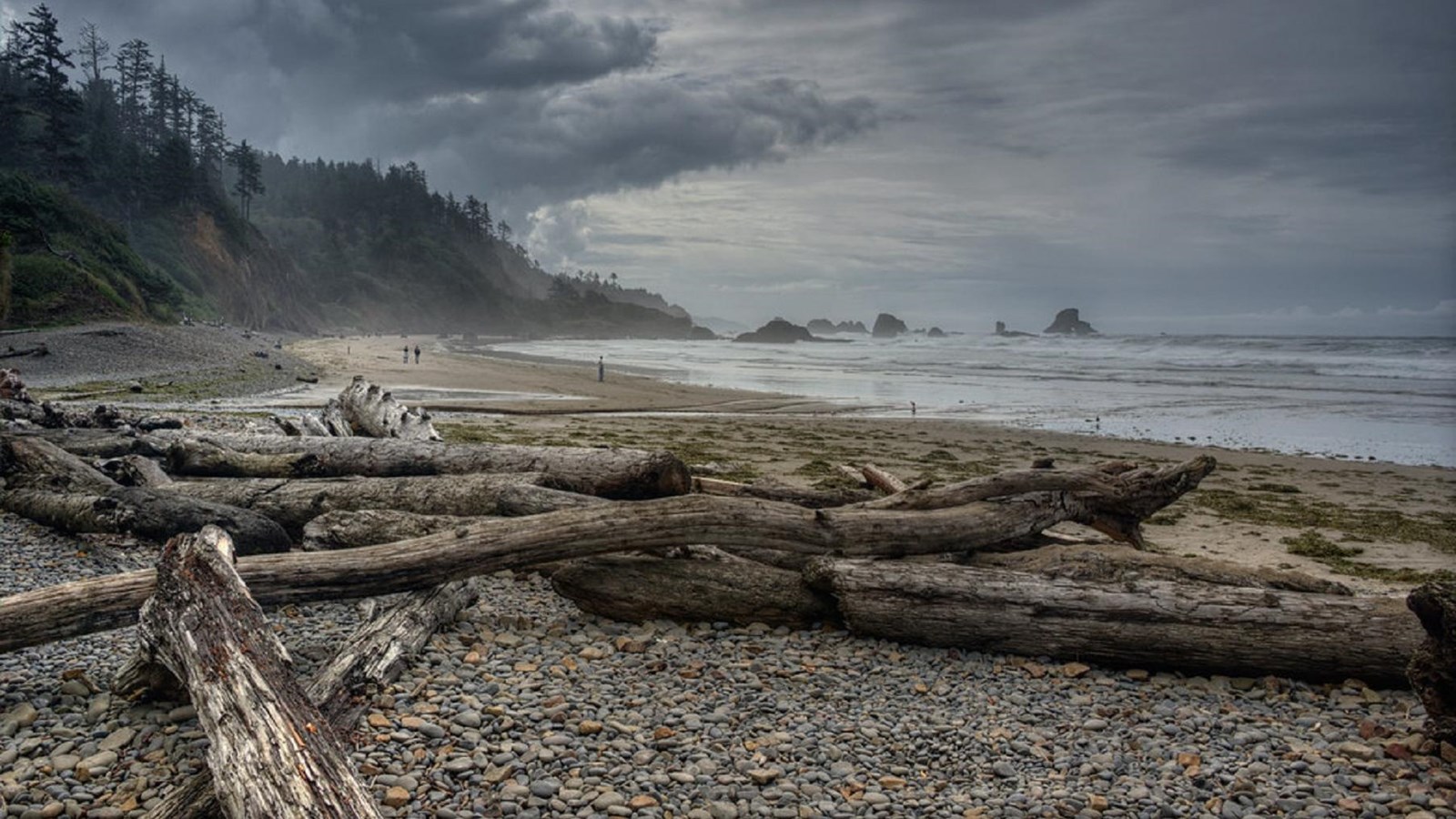 Driftwood sits on the shore, dramatic heavy clouds hang in the sky as the sun peeks through. 