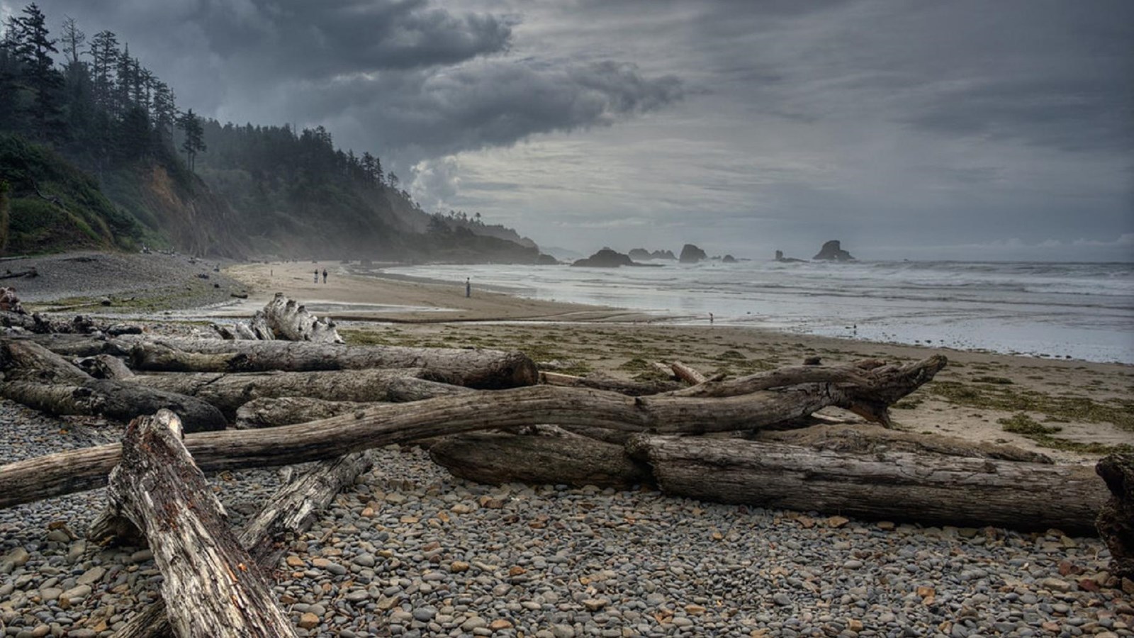 Driftwood sits on the shore, dramatic heavy clouds hang in the sky as the sun peeks through.