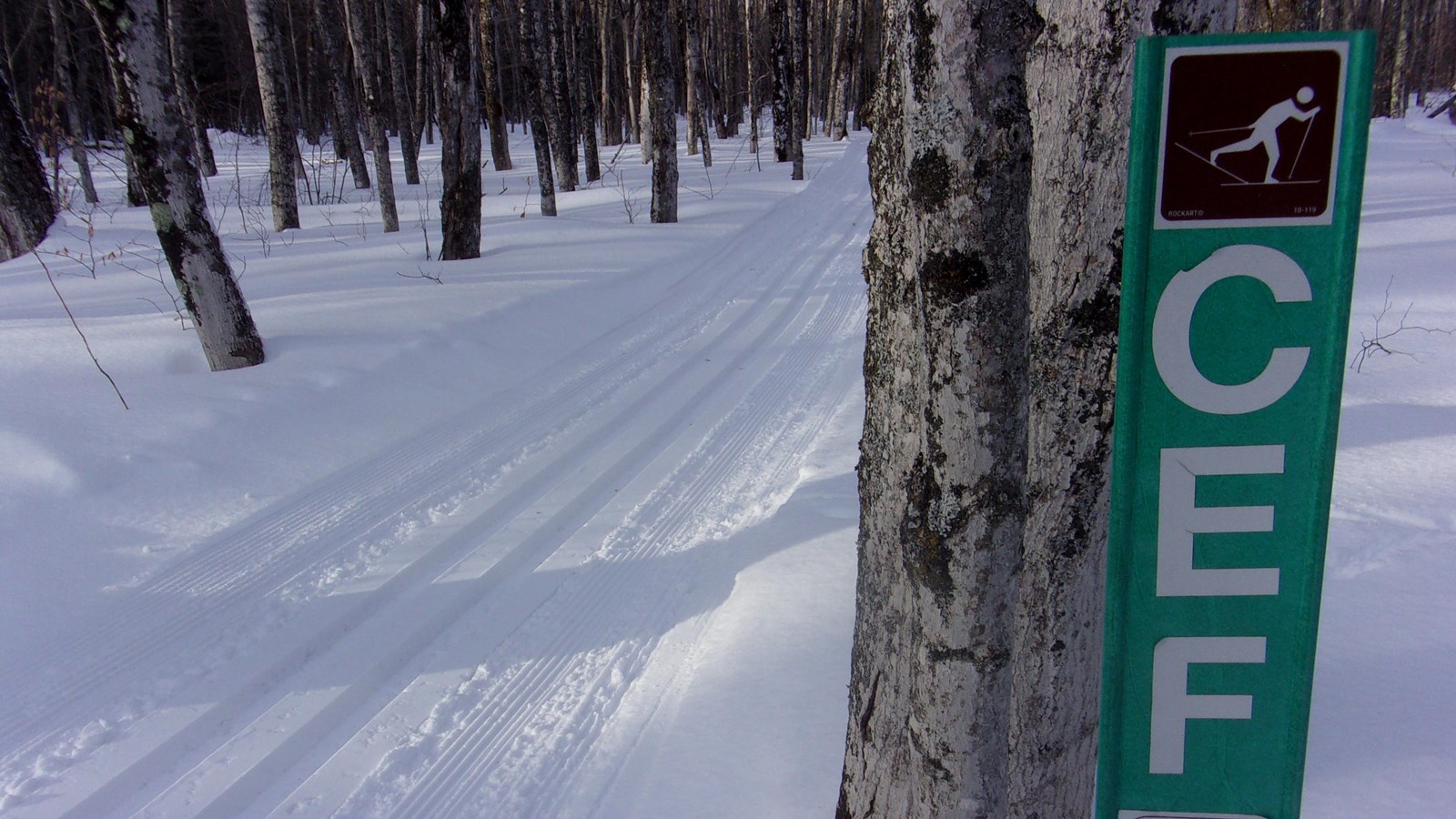 Photo shows a plowed ski track with a green trail post designating trails CEF are ahead..