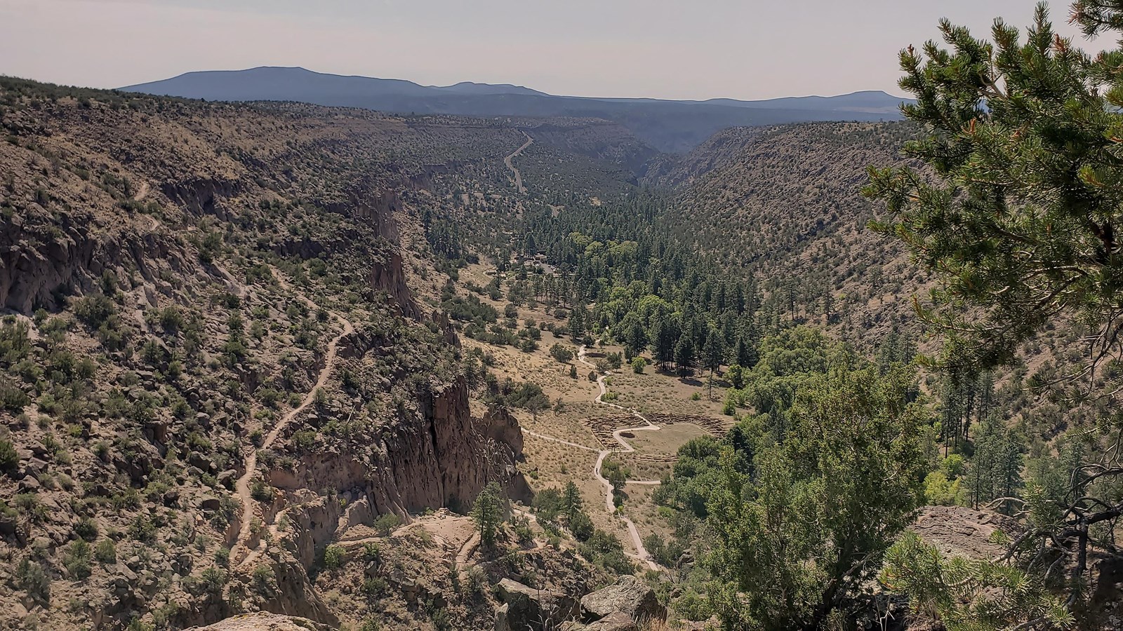 a view into a green canyon with many trees and archeological sites and dry steep canyon sides