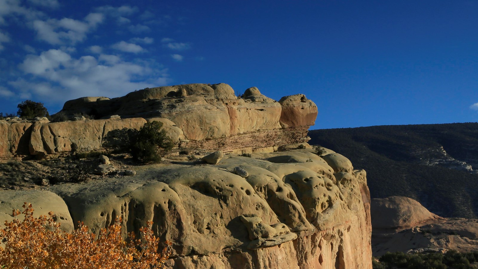 A large sandstone rock formation resembling a turtle.