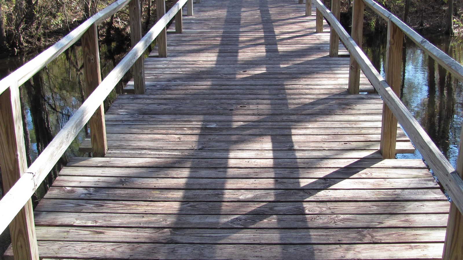 Wooden Boardwalk going across a dark creek