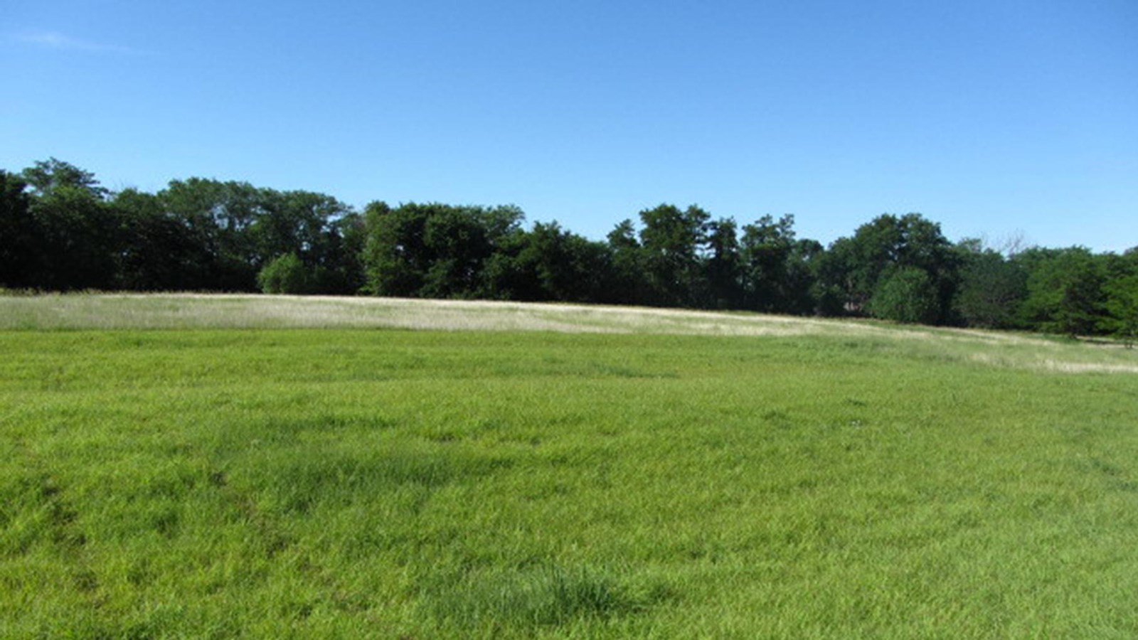 Grassy field with depressions