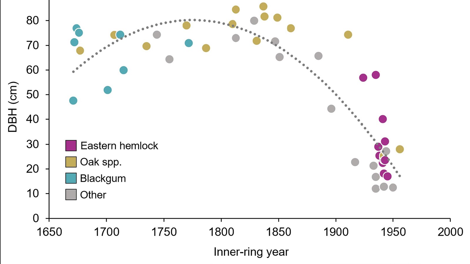 A graph of almost 50 different tree inner-ring size by their age in years from 1650 to 2000