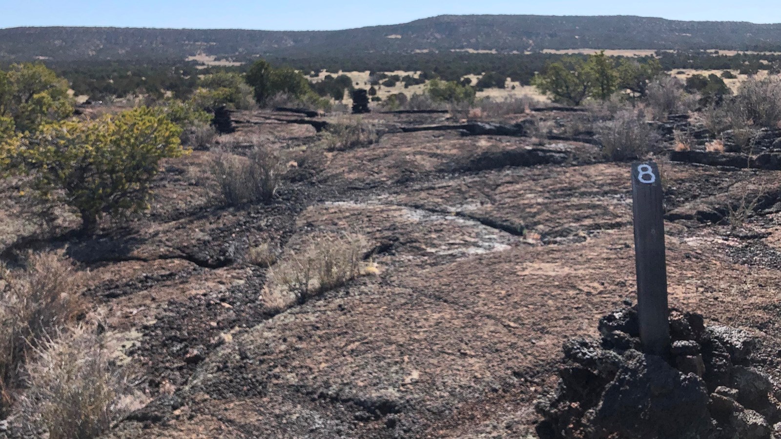 Wide slabs of reddish-black rock stretch into the distance.  Trees cover areas beyond.