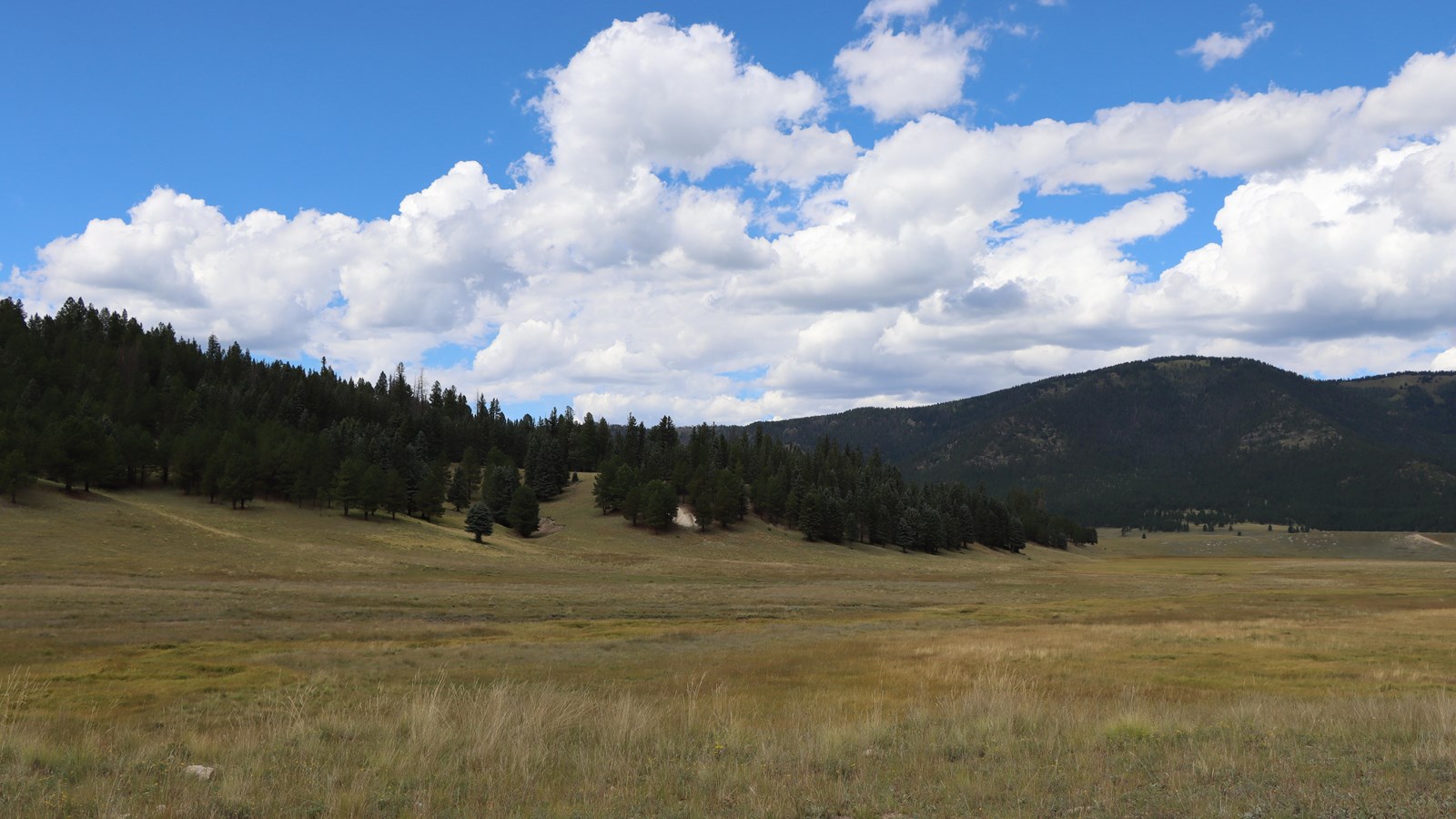A narrow valley surrounded by forested hills