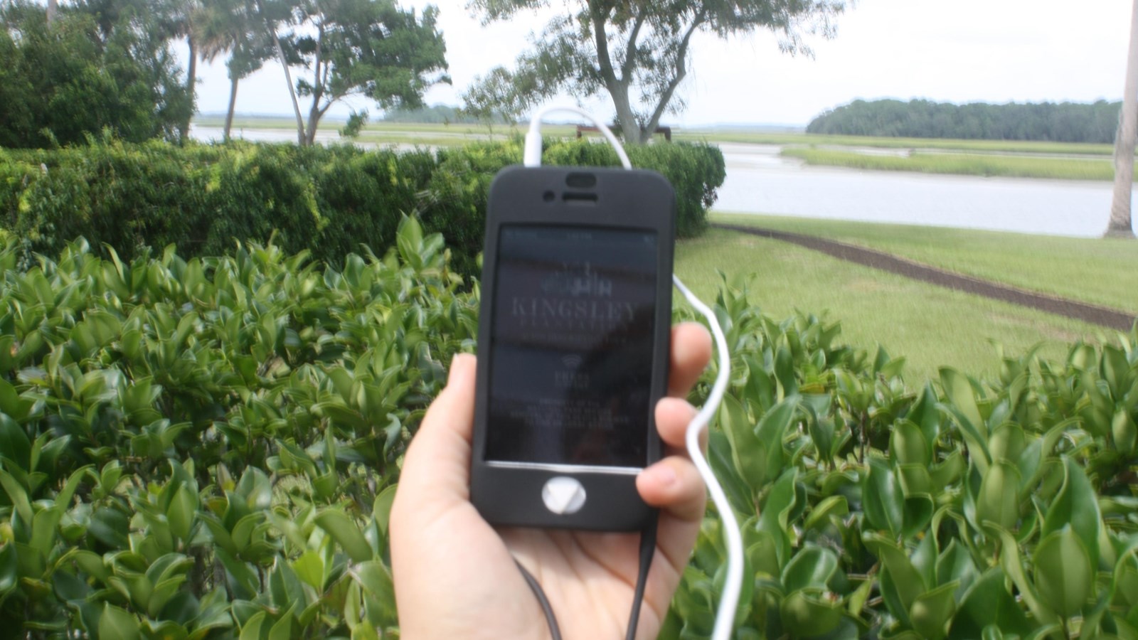 audio tour device next to hedges 