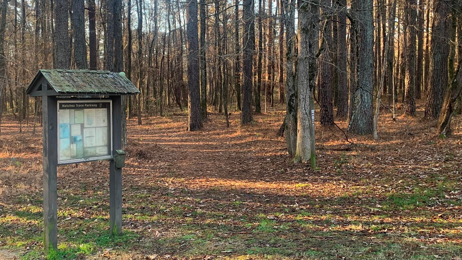 Information bulletin is to the left of the trailhead. Tree lined trail leads away from viewer.