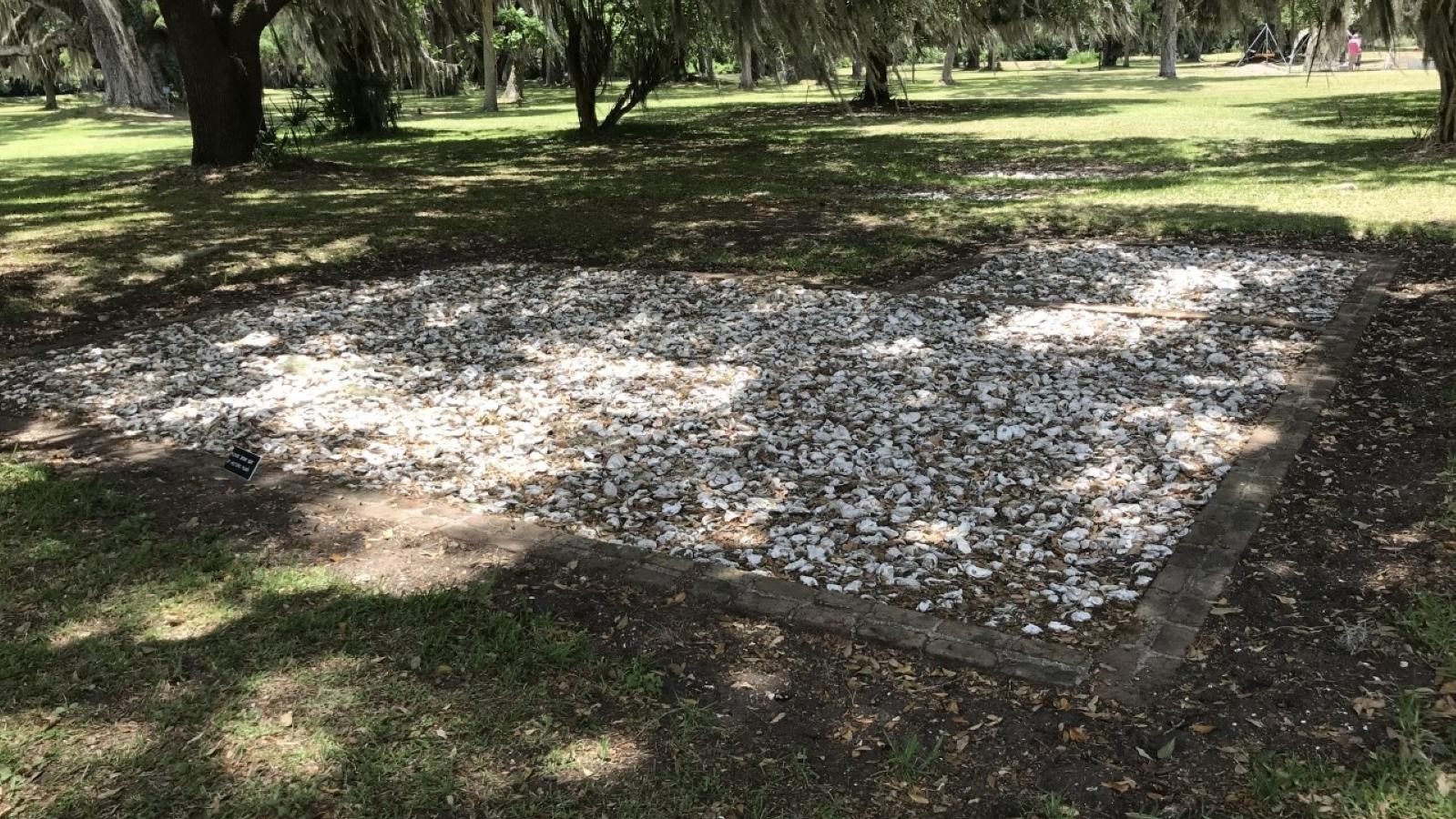 Brick house foundation surrounded by grass and live oak trees.