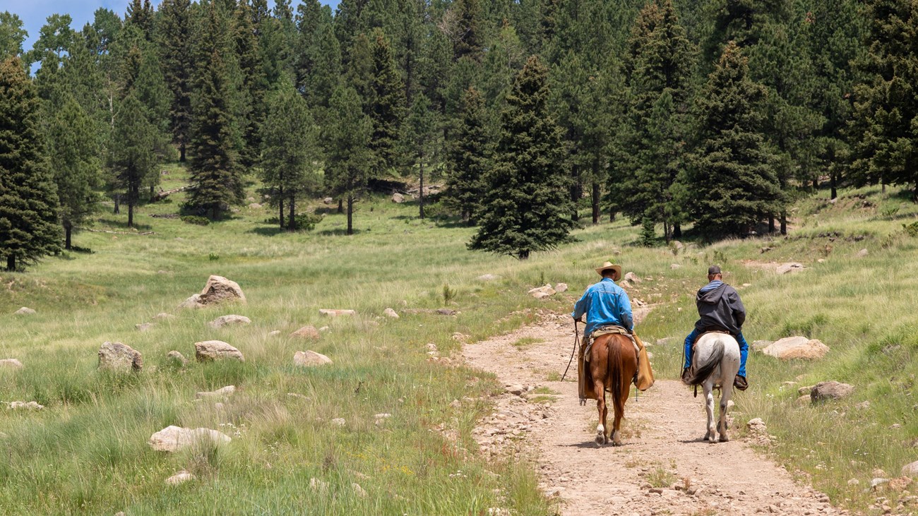 Two people riding on their horses along a dirt trail.