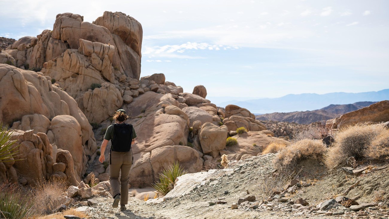 A hiker on a dirt trail headed towards a large rock formation in the distance.