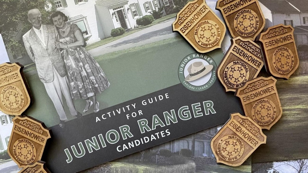 A color image showing a green and black book with brown wood JR Ranger badges