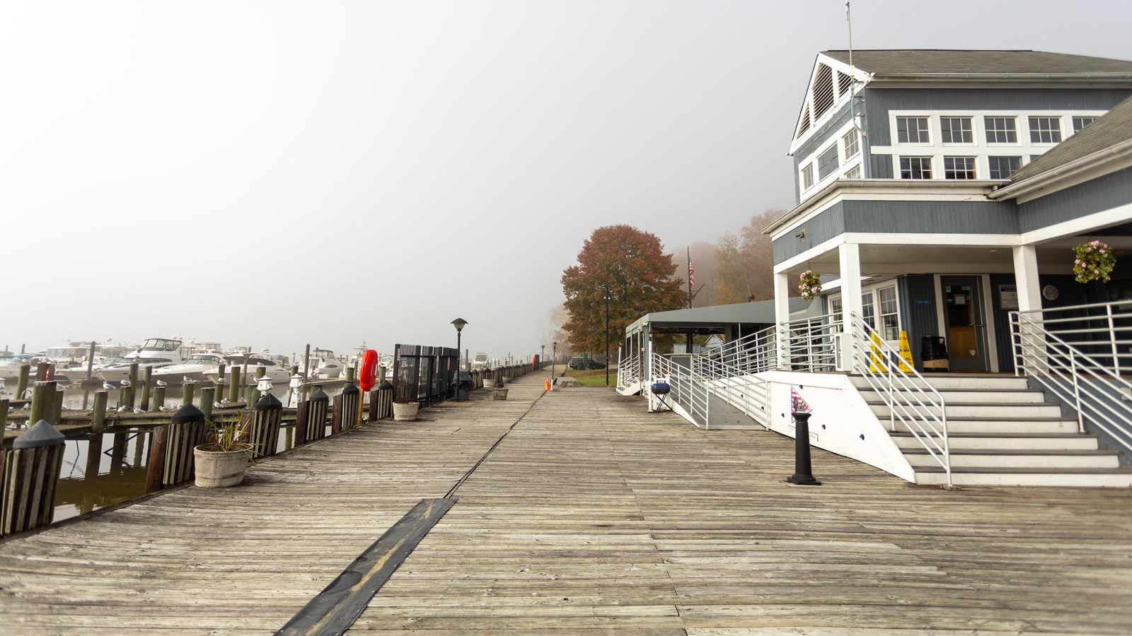 Photo of boats of various sizes out of the water, sitting in the parking lot of the Marina.