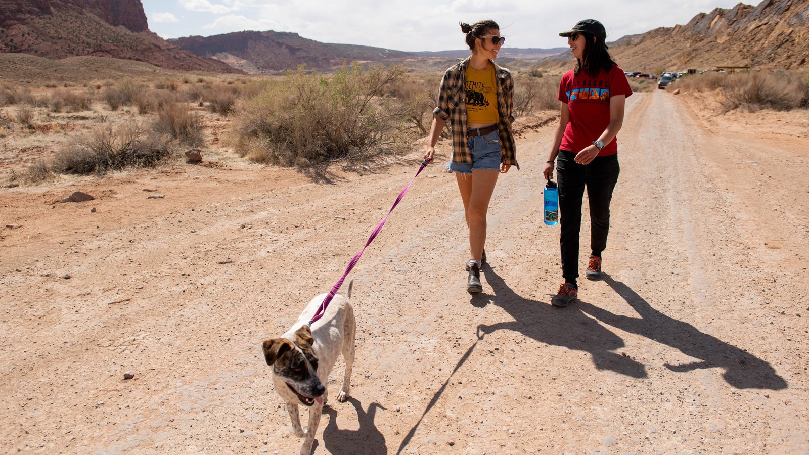 Two visitors walk a leashed brown and white dog along Cach Valley Road in Arches.